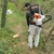 Stihl FR 230, 40.2CC 2-Stroke Backpack Petrol Brush Cutter | 2.1 HP Grass Cutting Machine for Agriculture & Gardening